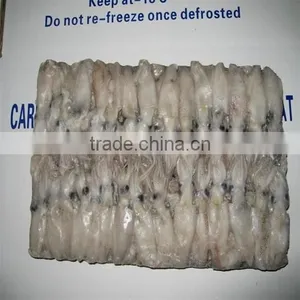 Hot Sale Whole Round Frozen Baby Squid thumbnail-6