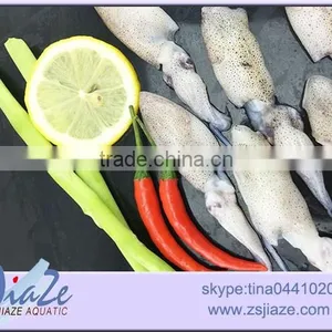 Frozen Baby Squid BQF OR IQF thumbnail-2