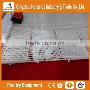 Heracles Series 2016 New Poultry Plastic Chicken Floor for Poultry House thumbnail-3