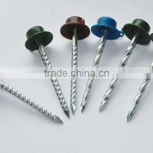 Galvanized Roof Screw Nail With Plastic Cap thumbnail-6