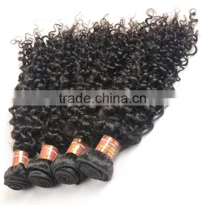 Unprocessed Kinky Curly Virgin Malaysian Hair Wholesale Malaysian Human Hair Weaves Curly Extension thumbnail-5