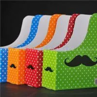 Corrugated File Folder thumbnail-1