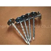 Galvanized Roofing Nail From China thumbnail-3