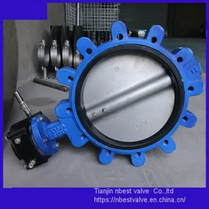 LTD371XP-10Q Manufacturer 14inch Worm Gear Cast Iron Lug Butterfly Valve DN350 thumbnail-4