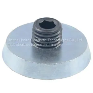 Inserted Fixing Magnet thumbnail-1