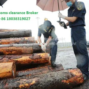 Importer Agency Customs Clearance Netherland Rivet Industry Use Import to Fuzhou Customs thumbnail-2