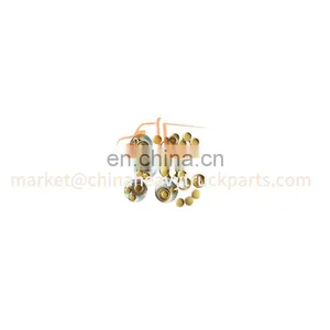 Foton Auman/Aumark/Miler/Land Pioneer Weichai Engine Gearbox Zf/Fast Truck Spare Parts 90003989721 Bowl Shaped Plug thumbnail-4