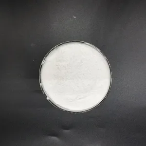 Polyester Nucleating Agent Bruggeman BRUGGOLEN P252, Which Enhances Mechanical Properties, P252 Polyester Nucleating Agent thumbnail-1