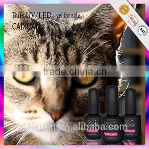 New Arrival Nail Art, Magic uv Gel Polish/ Cat Eye Color Gel Nail Polish thumbnail-2