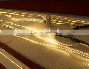 Best Led Lighting Factory In Ruian 12V/24V Led Strip Light SMD 5050 thumbnail-1
