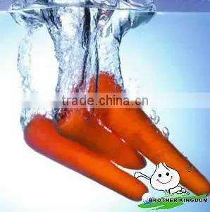 Fresh Carrot In Organic Vegetables,Wholesale Carrots thumbnail-6
