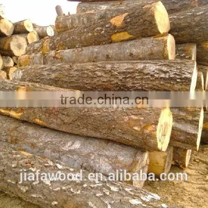 Baltic/Russian Birch Logs thumbnail-1