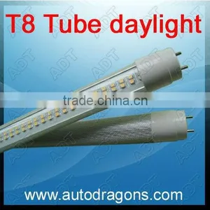 Hot Selling T8 LED Tube Light thumbnail-1