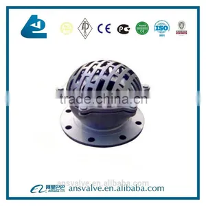 Stainless Steel Foot Valve thumbnail-4