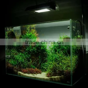 DICI Hot Sale OEM Ultra Glass Aquarium Fish Tank thumbnail-3