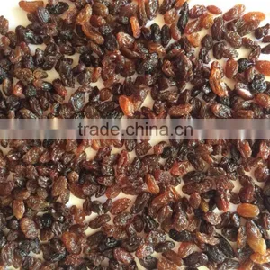 Fast Selling AD Dried Brown Sultana Raisins thumbnail-1