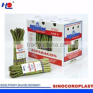 Plastic Cartonplast Box thumbnail-4