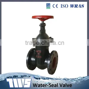 Cast Iron Gate Valve for Russian thumbnail-1
