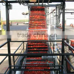 Turnkey Project of Tomato Processing Line thumbnail-1