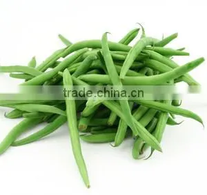 Exporters of Fresh Vegetables thumbnail-2
