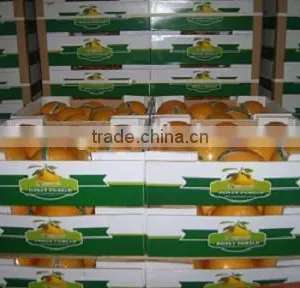 2015 New Crop of Fresh Pomelo Honey Pomelo Pomelo Fruit thumbnail-3