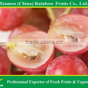 Fresh Chinese Table Grape Red Globe Grape Red Grape to India Asia Market thumbnail-5