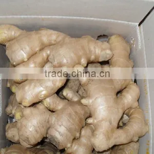 Air-dried Ginger thumbnail-1