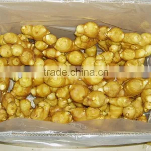 Export China Fresh Ginger Whole Hot Sale thumbnail-1