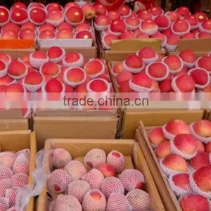 Fresh Style and Apple Type Fresh Apple From China 2014 thumbnail-2