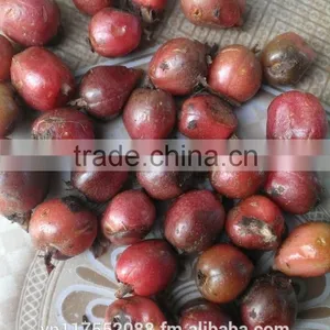 Vietnam High Quality Black Cardamom thumbnail-4