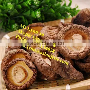 High Quality Mushroom /dry Shiitake Mushroom thumbnail-1