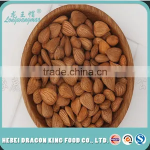 Apricot -Apricot Nuts - Raw Bitter and Sweet Kernels, Apricot Kernel From Own Factory thumbnail-2