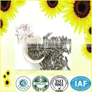 Hot Sale New Crop Chinese Sunflower Seeds thumbnail-1