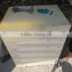 Junlan Machinery 450 Model Stainless Steel Potato Ginger Peeling Machine +8618637188608 thumbnail-2
