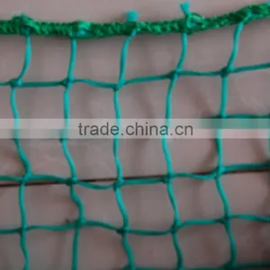 pe Fishing Net Monofilament Multifilament Singel Knot ,selvage, pe Safety Nets for Windows and Balcony thumbnail-4