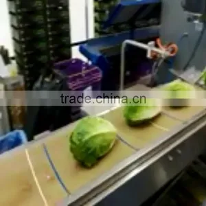 Automatic Turf Packing Machine thumbnail-2