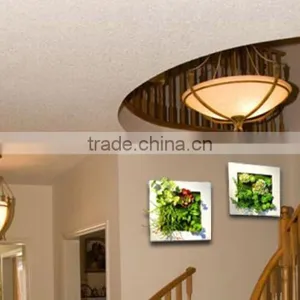 2017 China Popular 3D Framed Art thumbnail-2
