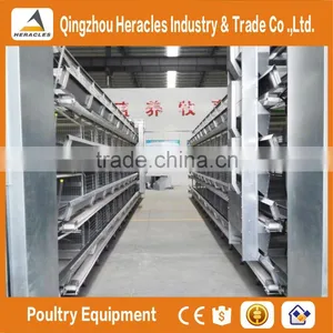 Heracles Factory Price Poultry Equipment Automatic Layer Chicken Egg Cages thumbnail-6