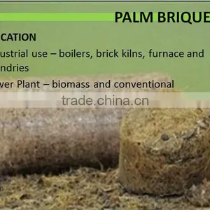 High Calories Biomass Briquette thumbnail-1