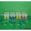 Cylindrical Candles thumbnail-1