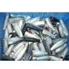 Sell Mackerel Cut thumbnail-1