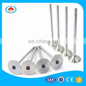 Power Torque Truck Spare Parts Engine Valves for Isuzuu CYJ 330 Giga thumbnail-5