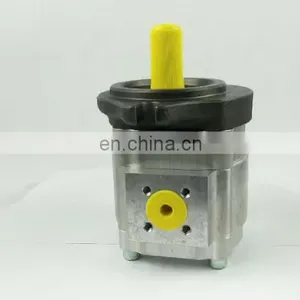 Eckerle EIPS Series Internal Gear Pump Hydraulic Pump High Press EIPS2-005/006/008/011/013/019/025 thumbnail-1
