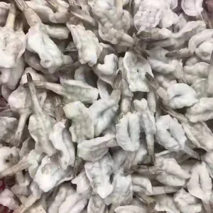 Frozen Vannamei White Shrimp For Sale thumbnail-2