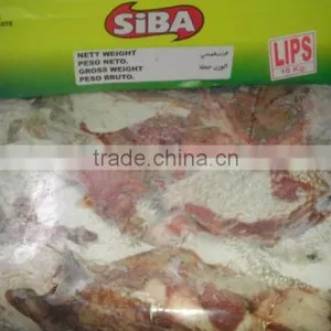 Buffalo Lips/ Fresh Buffalo Red Meat thumbnail-2