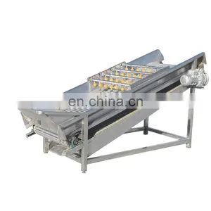 Date Palm Washing Machine Fruits and Vegetables Washing Machine Zone Bubble Washing Machine thumbnail-2