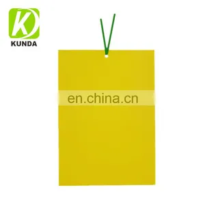 Dual-Sided Yellow Sticky Gnat Traps for Flying Plant Insect Like Fungus Gnats, Whiteflies, Aphids, Leaf Miners thumbnail-1