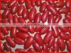 British Red Kidney Beans thumbnail-1