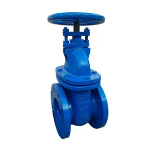 BS 3464 DN50 PN10/PN16 Cast Iron WCB GG25 Ductile Iron Flange Metal Hard Seal Water Gate Valve Price thumbnail-2