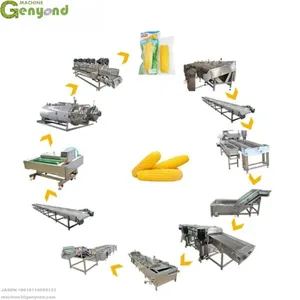 Industrial Automatic Customized Fresh Corn Processing Production Line thumbnail-3
